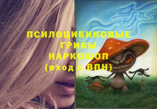 a pvp Арсеньев