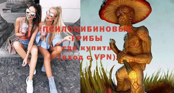 винт Армянск