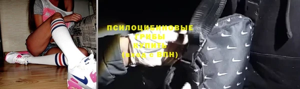 a pvp Арсеньев