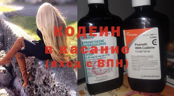 шишки Аркадак