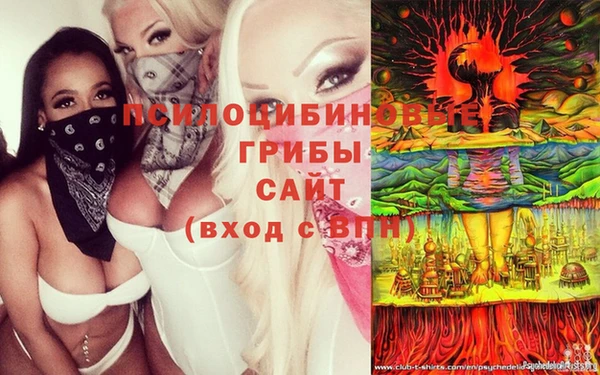 винт Армянск
