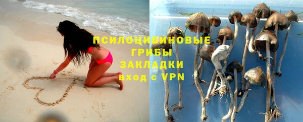 шишки Аркадак