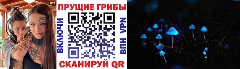 Купить где Десногорск Галлюциногенные грибы ЛСД